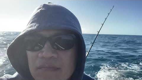 Lang thang biển vắng săn cá Thu lớn