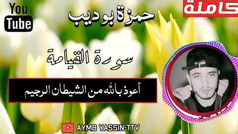 سورة القيامة كاملة 😍 تلاوة ستجعلك تبكي من خشوعها القارئ حمزة بوديب 💜surat Al-Qiyamah