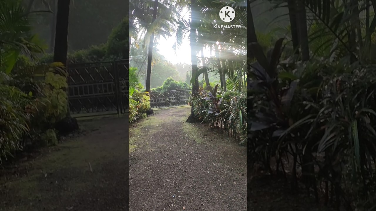 Fresh Morning at Konkan 