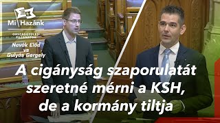 A cigányság szaporulatát szeretné mérni a KSH, de a kormány tiltja