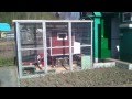 Как сделать летний курятник своими руками