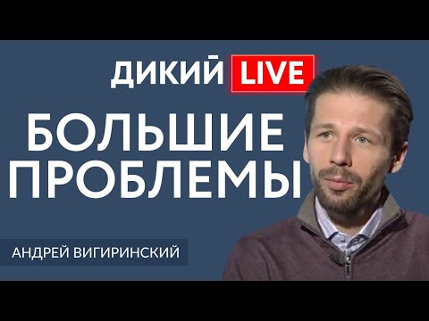 Картина маслом... Андрей Вигиринский. Дикий LIVE