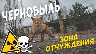 ЧЕРНОБЫЛЬ. ЗОНА ОТЧУЖДЕНИЯ. Радиация - ОПАСНО!!! АЭС / Едем Дальше ЧЕРНОБЫЛЬ. ЗОНА ОТЧУЖДЕНИЯ. Радиация - ОПАСНО!!! АЭС / Едем Дальше