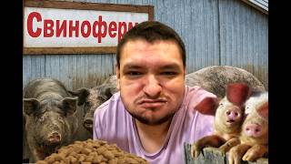 Дневник Борова Гительман - Шортс тест рестрим!