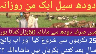 Goat farming in pakistan|Goat farm/Goat farm in pakistan |Village business point