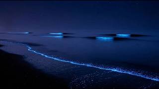Ocean Waves Sleep Therapy | for Deep Sleep and Relaxation Beyond Midnight