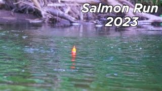 Small Water KING SALMON BOBBER DOWNS! - River Salmon Fishing 2023