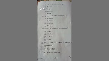 bbmku sem4 zoology question paper#study #motivationalvideo