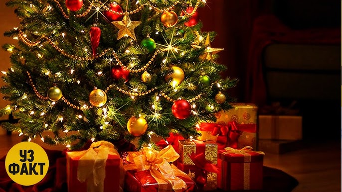 Ayol tukli klitorining fotosurati