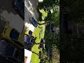 leżajsk scinają drzewa