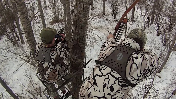 Wild Boar Bowhunt in Sask with Recurve