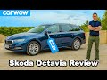 The Only Car You Really Need Skoda Octavia 2021 Review The Only Car You Really Need Skoda Octavia 2021 Review