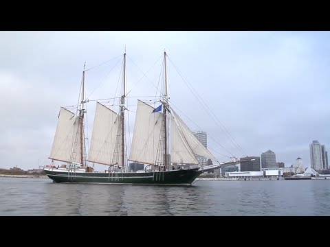 Video: Peter The Great's Boat: Description, History, Excursions, Exact Address
