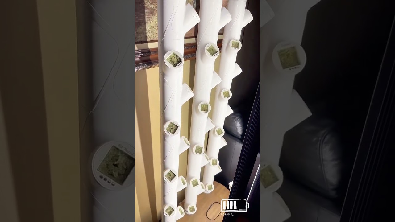 Discover Gardyn 4.0| Redefining Smart Indoor Gardening 🍅🌿 