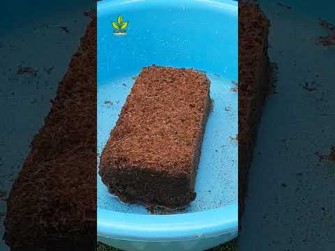 تربة الكوكوبيت وكيفية إستخدامها وفوائدها         