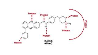 BCR-ABL1 and the Philadelphia chromosome - Part 4: Therapy of tumors with BCR-ABL1 fusion proteins