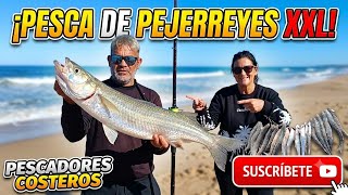 Great catch of silverside fish!