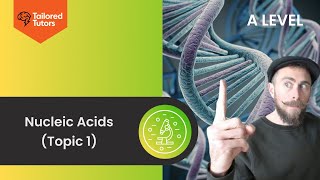 Nucleic Acids  (Topic 1) | A-Level Biology Revision