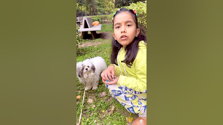 amaira ko mila dog #shorts #thegeetagurjar