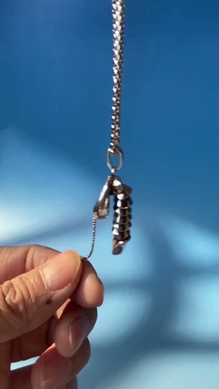 Product Link in Bio ( # 2032  ) @MaviGadgets  ▶️Funny Adult Humor Moving Pendant Necklace
