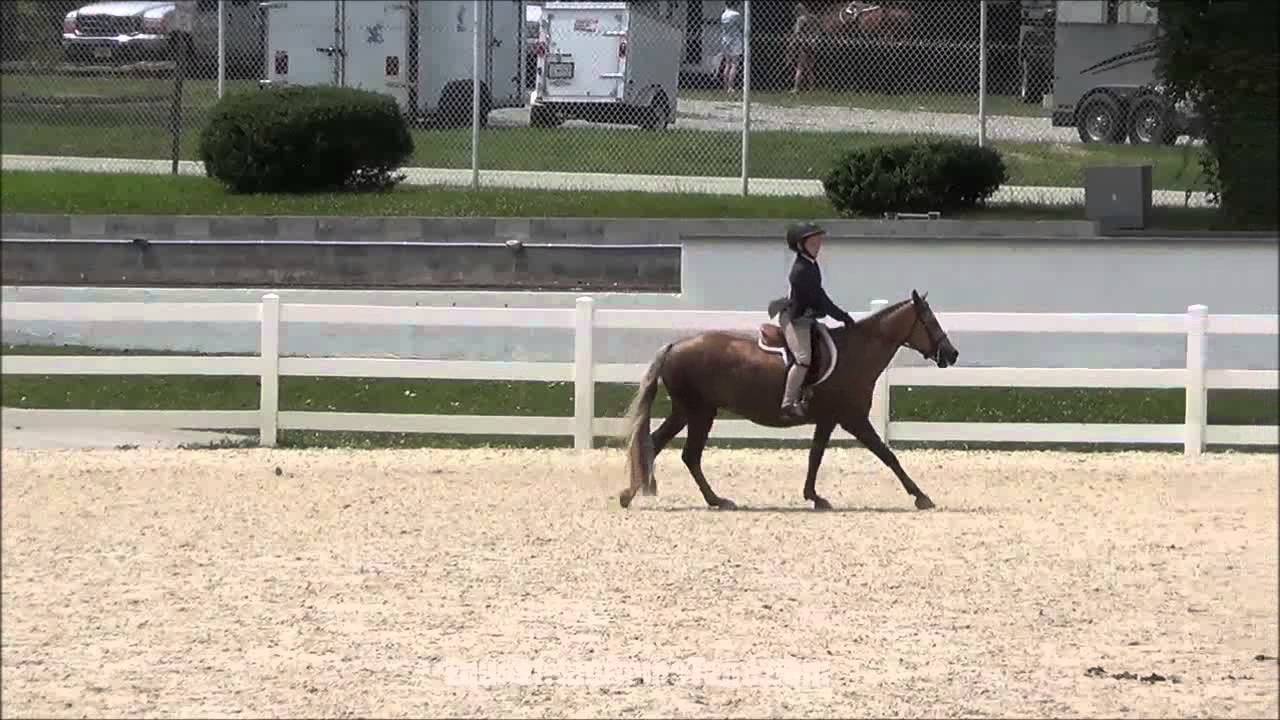 Beyond Blonde at Brandywine Valley Summer Series Brass Ring Horse Show