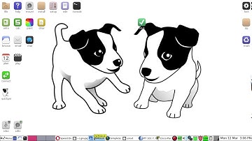 Puppy Linux Xenialpup 7.5 PacketTracer7 launch