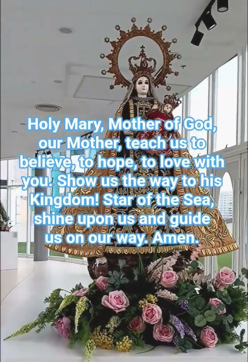 PRAYER TO VIRGIN MARY #holymary #virginmary #blessedvirgin #catholicprayer #catholicchurch #avemaria