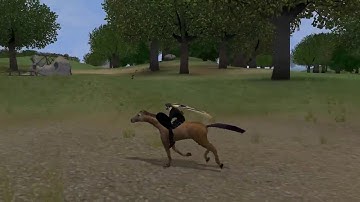 DAOC Snowdonia to West Cornwall