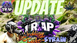 702 Exotic Garden Update 🌱 | Trap House Strain & Rare Phenotypes Inside! 🔥