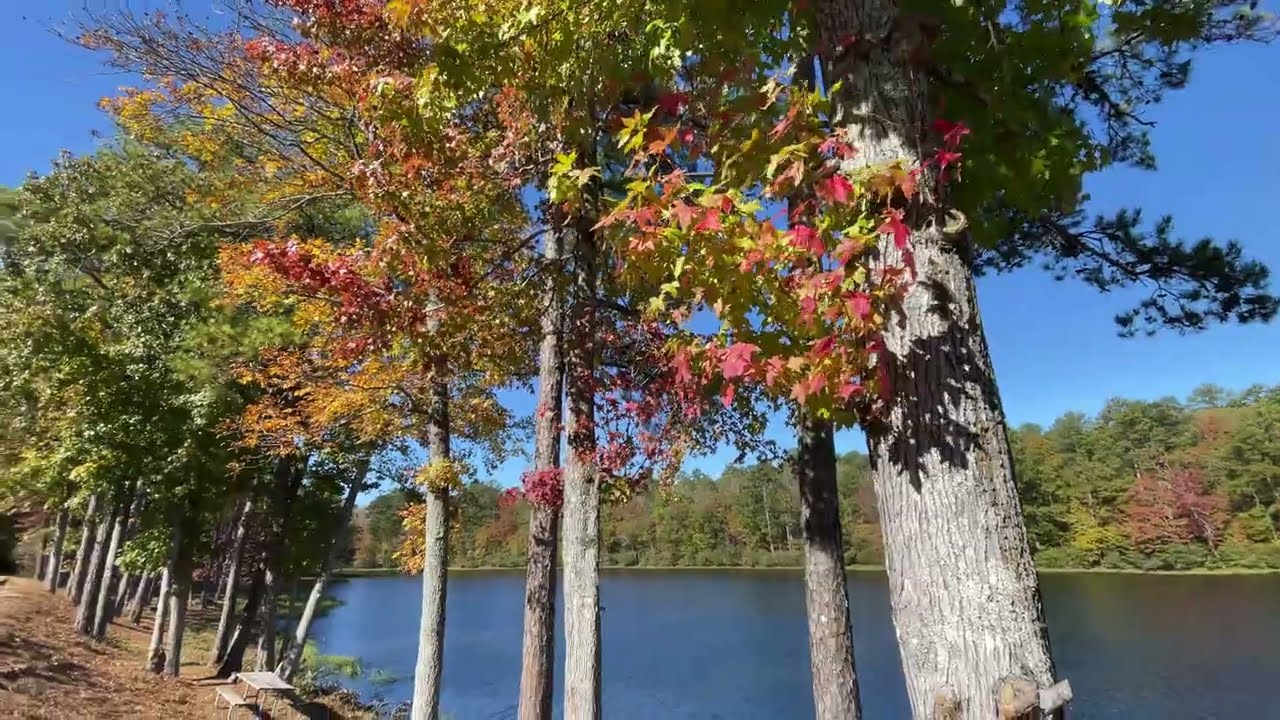 Double Oak Lake Hike, Oak Mountain State Park, Pelham, Alabama - November 2025