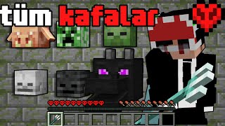Minecrafttaki Tüm Kafaları Topladım