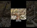 1980s vs 2010s - The legendary tree💔 #beforeandafter #chernobyl #pripyat #чернобыль #припять #дерево