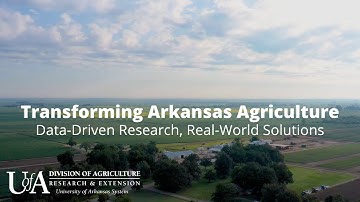 Transforming Arkansas Agriculture: Data-Driven Research, Real-World Solutions