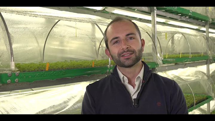 Il nostro team - Alessandro Gualandi, Technical Ma...
