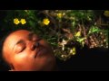 Disciple (D.I.) "Free" music video (@rapzilla)