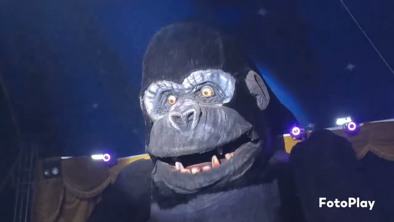 Circo Incaro em Santa Cruz do Capibaribe - PE