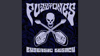 Video thumbnail of "Fuzztones - Romilar D"