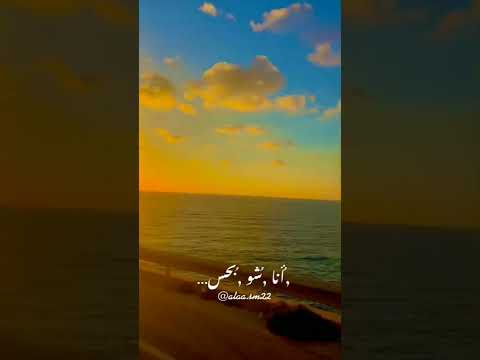 بدك تعرف لما بشوفك شو بحس
