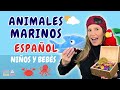 Aprende los Animales Marinos | Spanish for Little Ones con Ana Banana