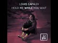 Lewis Capaldi - Hold Me While You Wait (James Godfrey Remix)