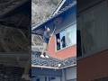 【超危険】蜂の巣駆除で驚愕の〇〇　Super dangerous] Surprising 〇〇 in bee hive extermination