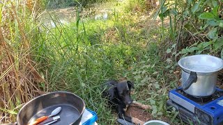 PESCA NO CÓRREGO QUASU DEU BRUTA NA PESCARIA CAIPIRA!!!