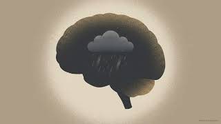 The Observer's Manual: A 3-Step Consciousness Reset