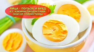 ЯЙЦА - ПОЛЬЗА И ВРЕД. И с какими продуктами они не совместимы