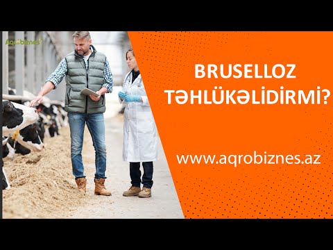 Video: İtlərdə Bakterial İnfeksiya (Brusellyoz) Səbəbindən Aşağı Düşmə