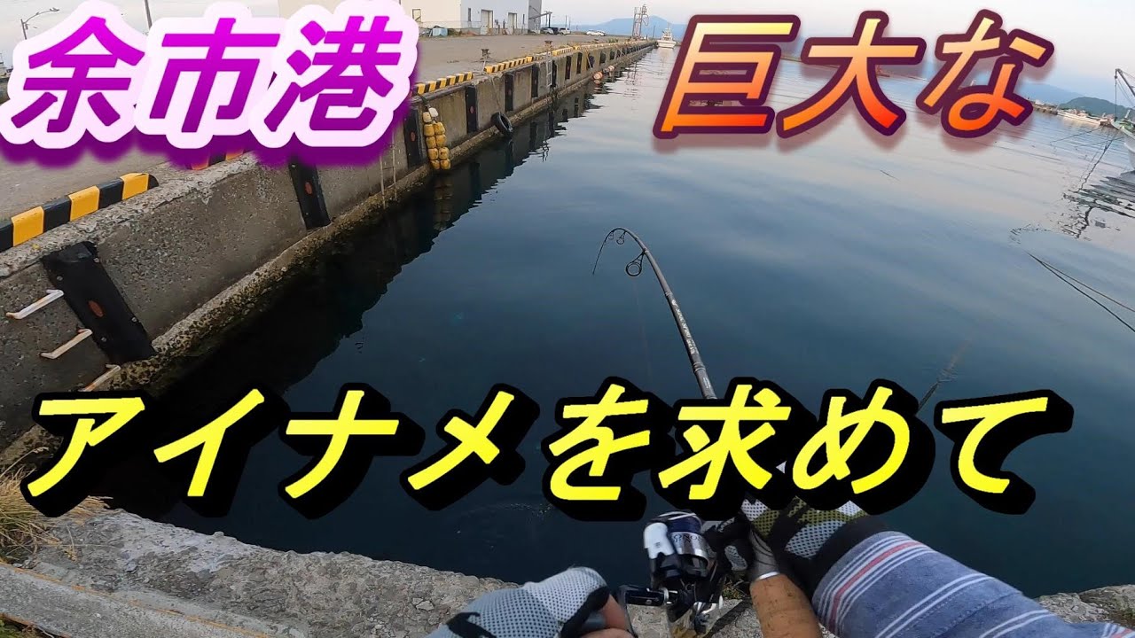 余市港 巨大アイナメを求めて 北海道釣り Youtube