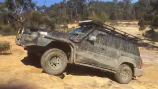 Figtree Fourbies - Meryla State Forest