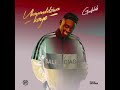 GUNTOLAH UKANANDIDZIWA KAYE Official Audio 