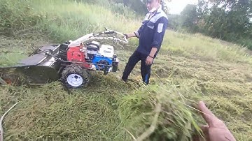 Máy cắt cỏ trục băm đường cắt 8 tấc máy Huynhdai 15hp