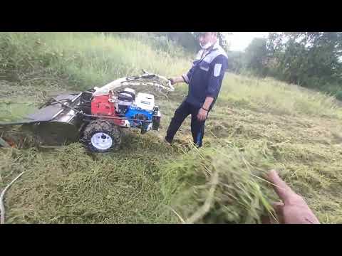 Video Máy cắt cỏ trục băm đường cắt 8 tấc máy Huynhdai 15hp - youtube